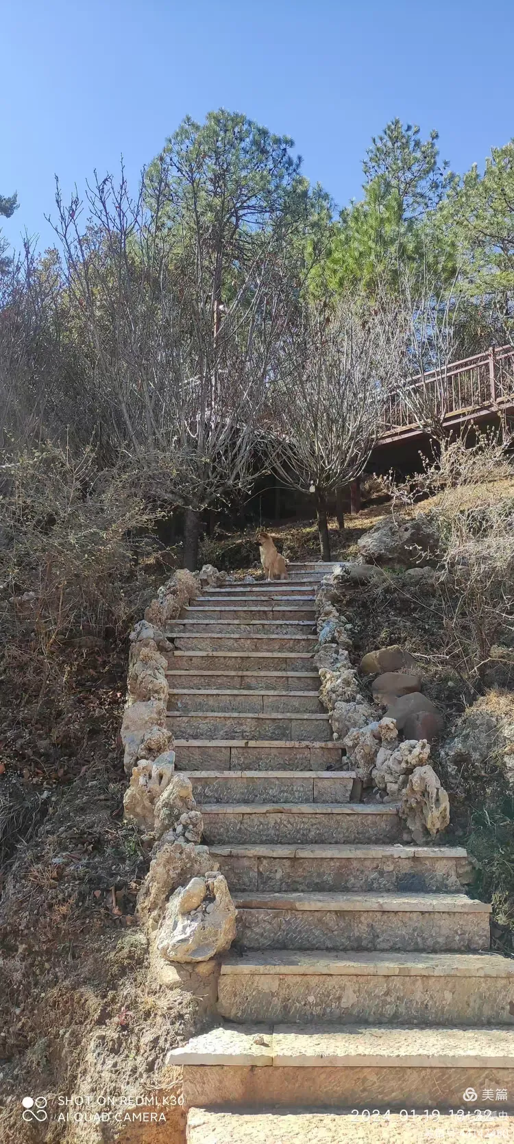 原始古朴的白沙古镇雪山下的玉龙谷